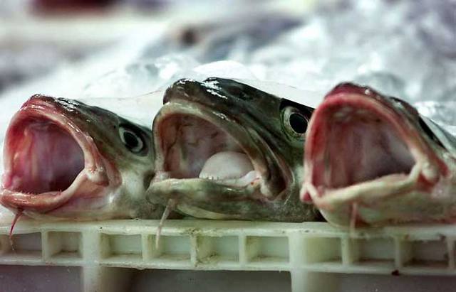 Balıkçılık Anlaşması 