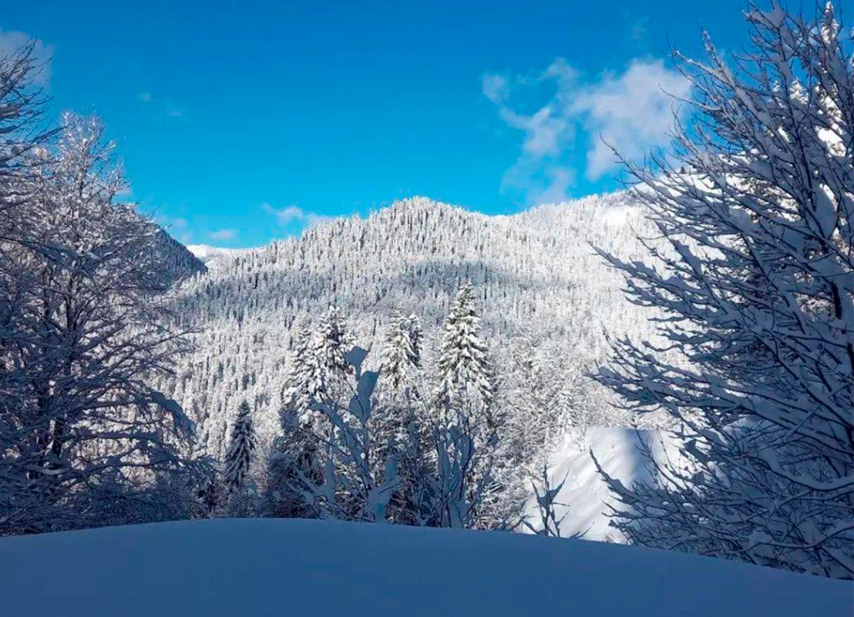 Abhazya’da Yoğun Kar Yağışı Sürüyor!