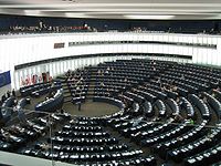 Avrupa Parlamentosu Kararı