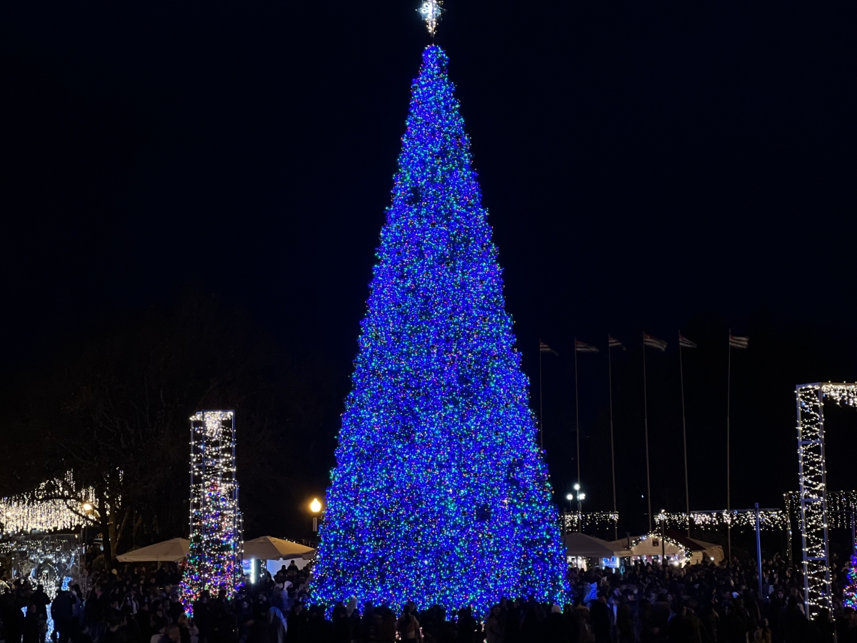 Suhum’daki Yeni Yıl Ağacı Törenle Açıldı!