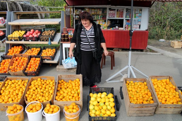 Ekolojik Sebze Üretimi