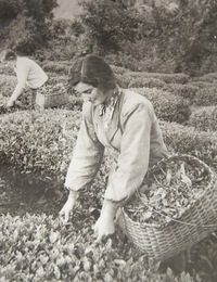 Fazıl İskender 88 Yaşında