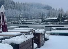 Ritsa Ulusal Parkı’nda Yoğun Kar Yağışı!