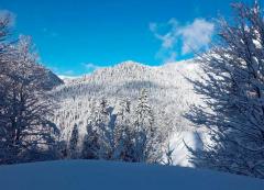 Abhazya’da Yoğun Kar Yağışı Sürüyor!