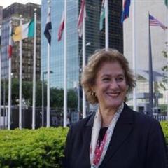  Karasin, BM Cenevre Temsilcisi Görüşmesi!  