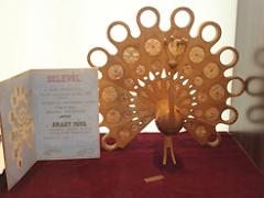 Asırlık Çınar Nartaa