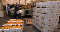 Abhazya’dan Narenciye İhracatı! 