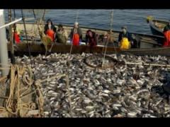 Abhazya, Kırım İşbirliği