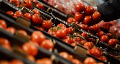 Abhazya’da, Türk Domatesi Krizi