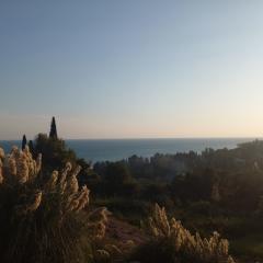 Novy Afon Devlet Konukevi Sorunu! 