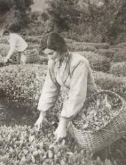 Fazıl İskender 88 Yaşında